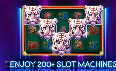 Live Baccarat Table